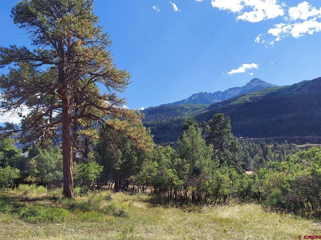 Lot 7 White House Vista Lane Ridgway CO 81432