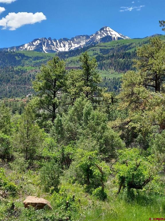 Lot 7 White House Vista Lane Ridgway CO 81432