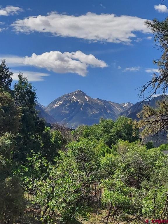 Lot 7 White House Vista Lane Ridgway CO 81432
