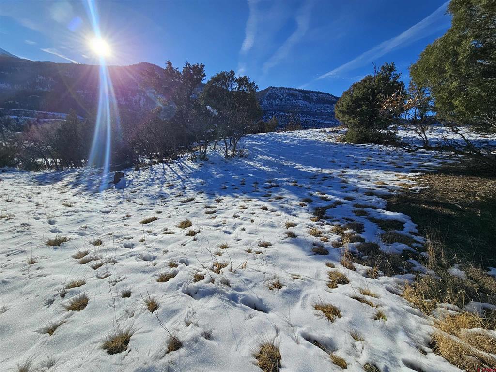 Lot 7 White House Vista Lane Ridgway CO 81432