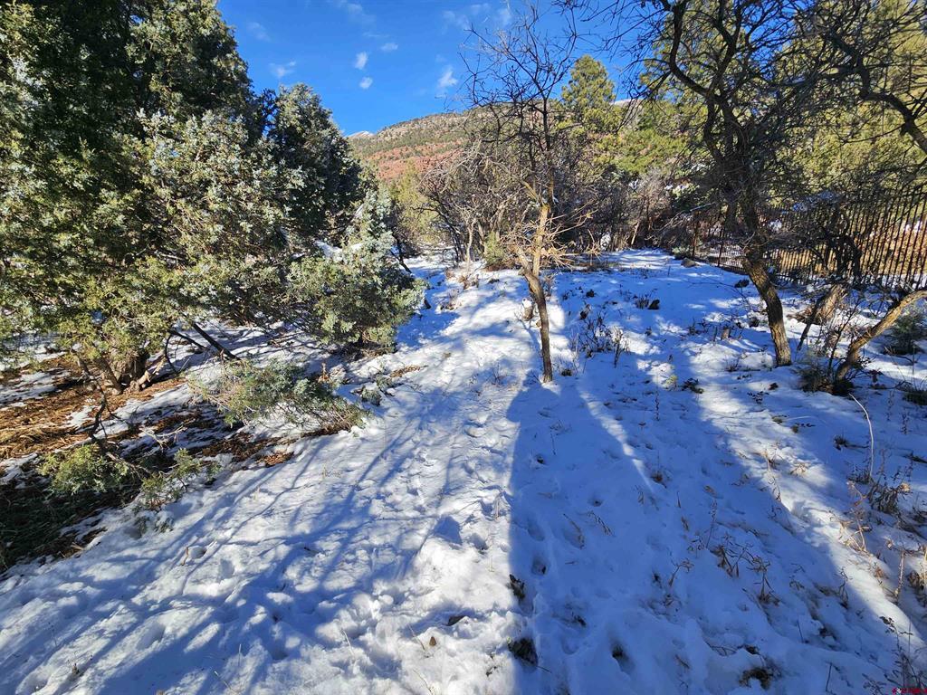 Lot 7 White House Vista Lane Ridgway CO 81432