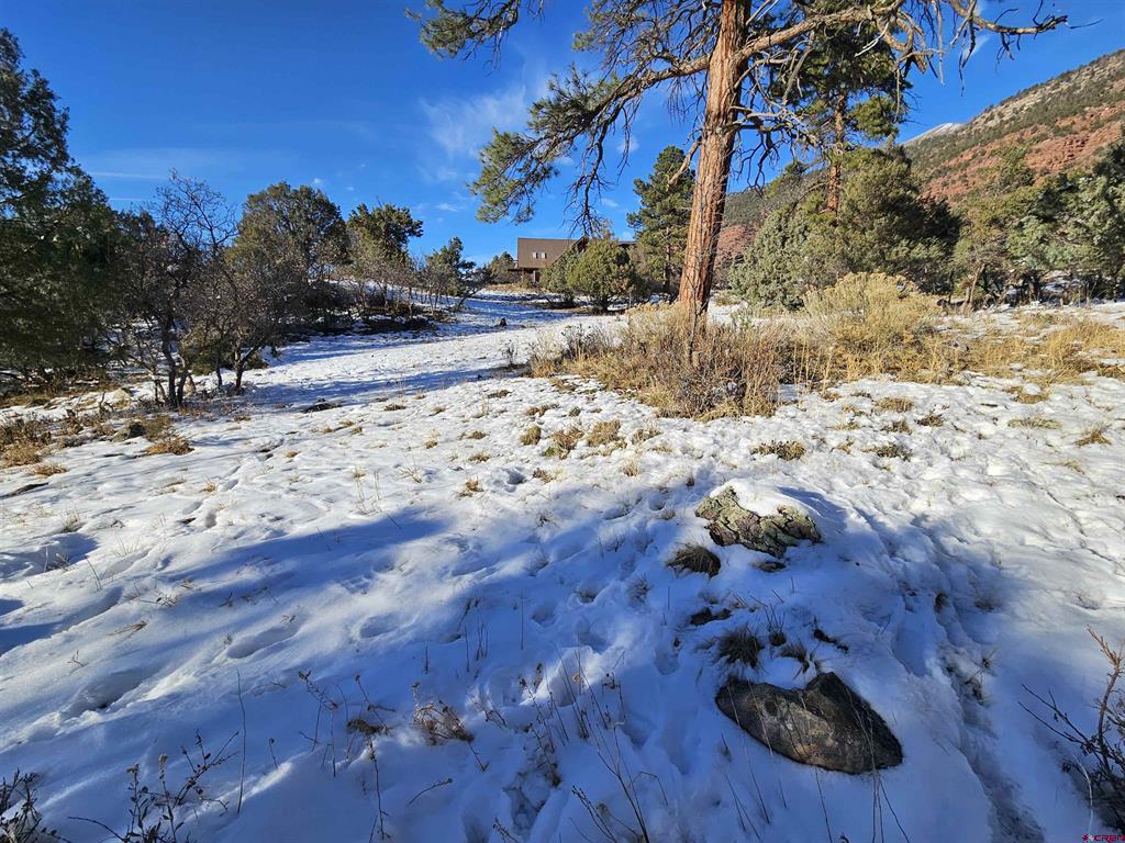 Lot 7 White House Vista Lane Ridgway CO 81432