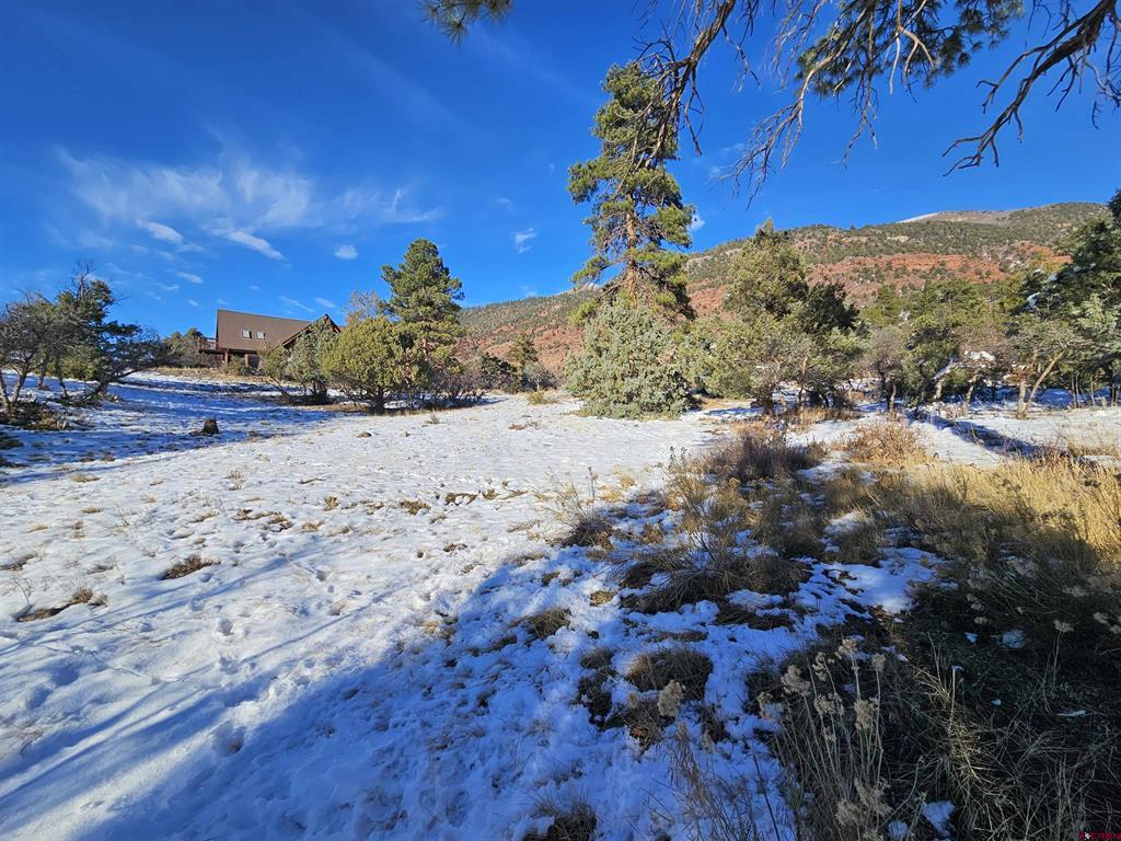 Lot 7 White House Vista Lane Ridgway CO 81432