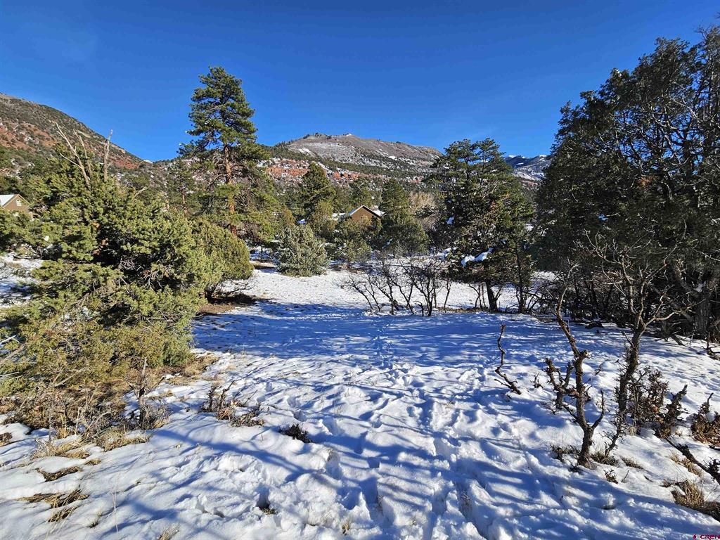 Lot 7 White House Vista Lane Ridgway CO 81432
