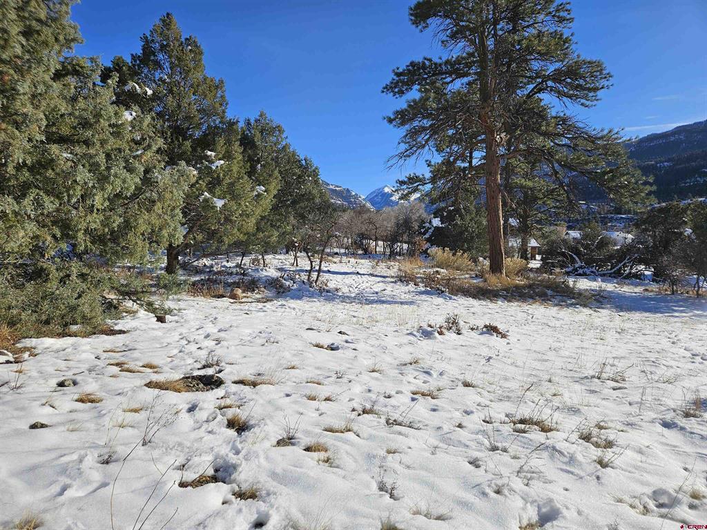Lot 7 White House Vista Lane Ridgway CO 81432