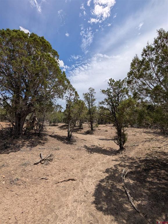 160 Cedar Drive Pagosa Springs CO 81147