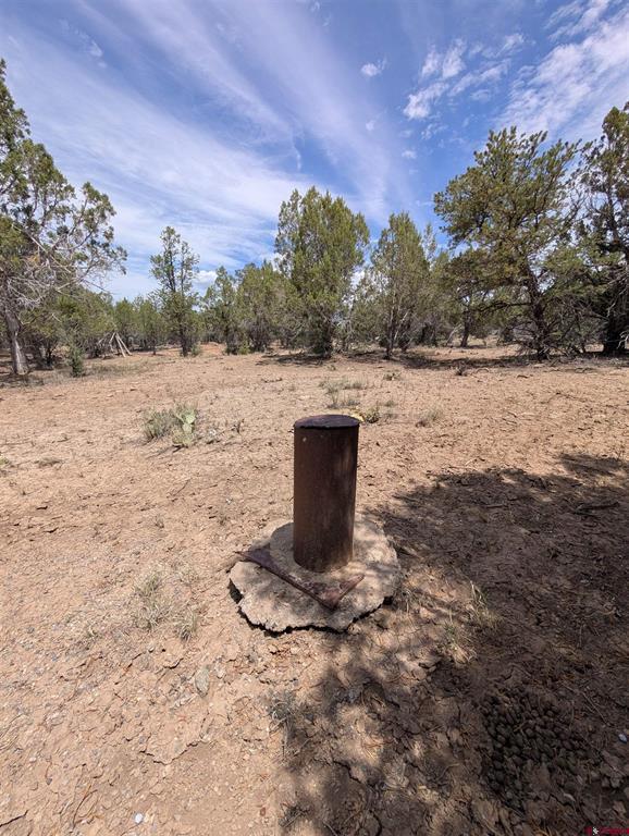 160 Cedar Drive Pagosa Springs CO 81147