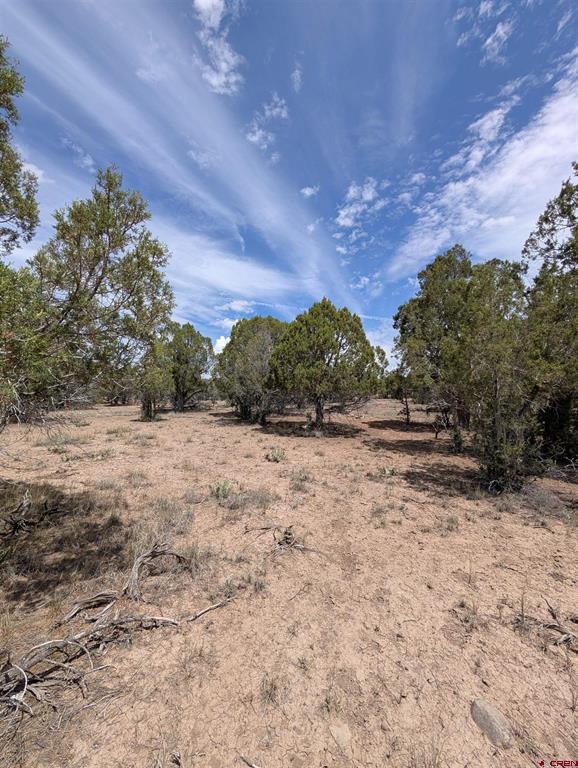 160 Cedar Drive Pagosa Springs CO 81147