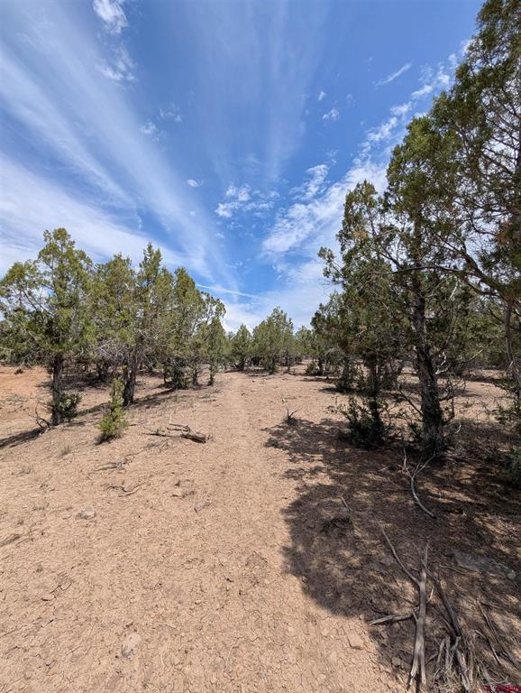 160 Cedar Drive Pagosa Springs CO 81147