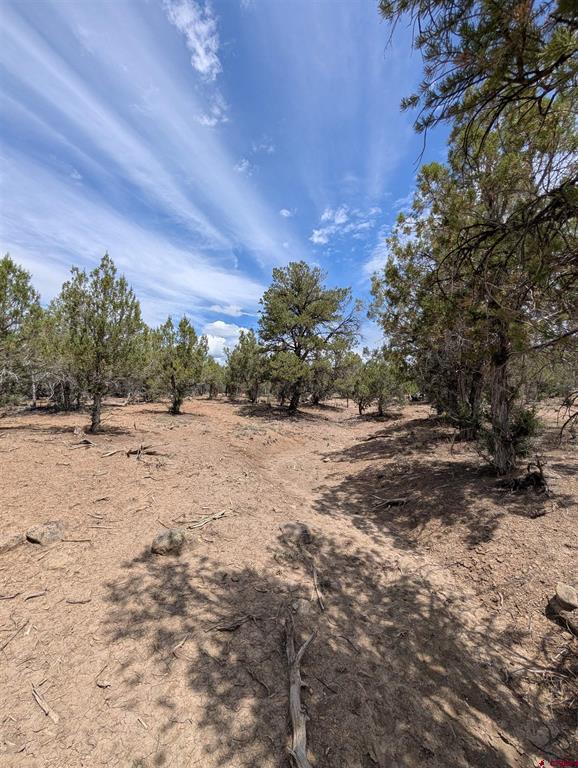 160 Cedar Drive Pagosa Springs CO 81147