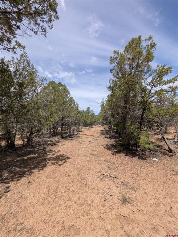 160 Cedar Drive Pagosa Springs CO 81147
