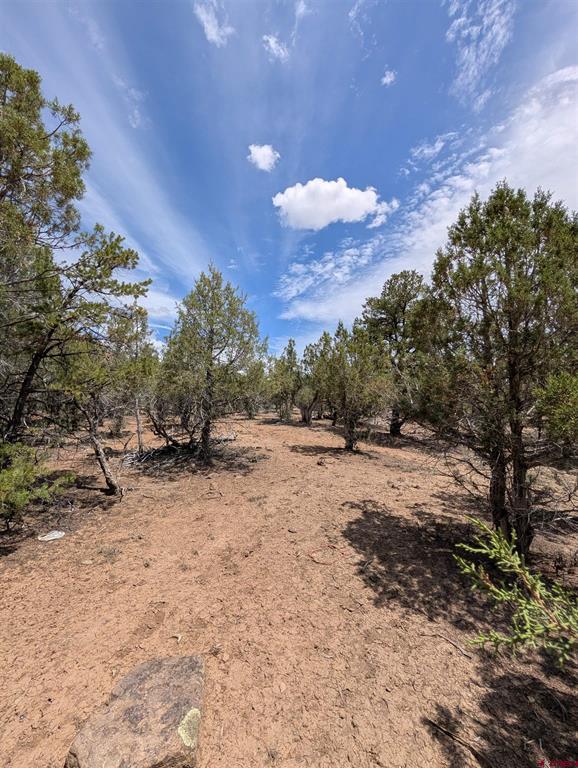 160 Cedar Drive Pagosa Springs CO 81147