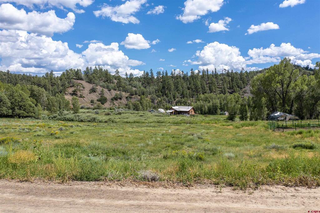 X County Road 335 Pagosa Springs CO 81147