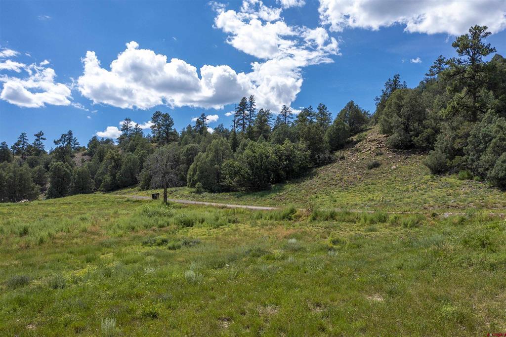 X County Road 335 Pagosa Springs CO 81147