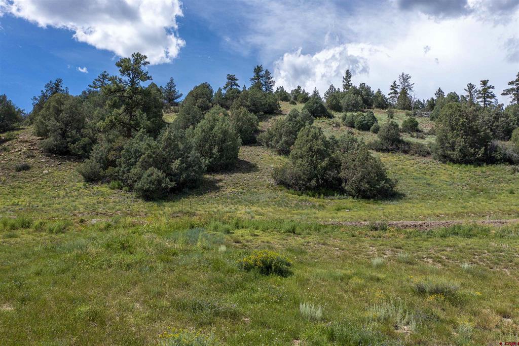 X County Road 335 Pagosa Springs CO 81147