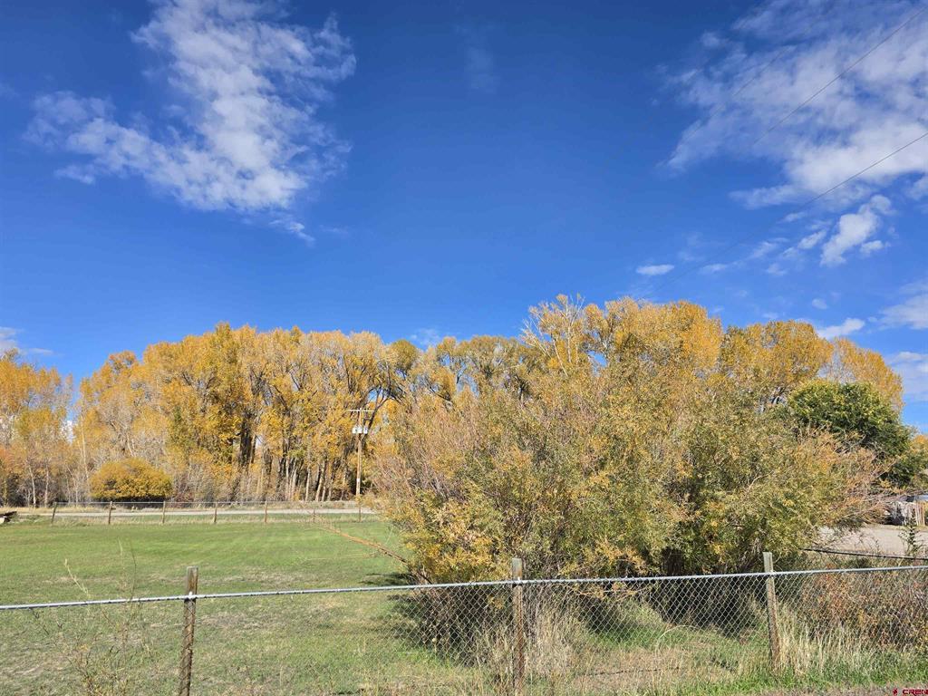 1035 2nd Street Del Norte CO 81132