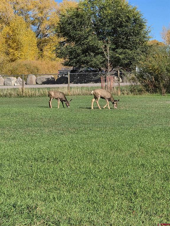 1035 2nd Street Del Norte CO 81132