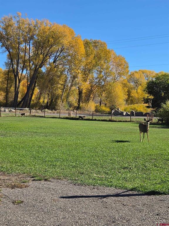 1035 2nd Street Del Norte CO 81132