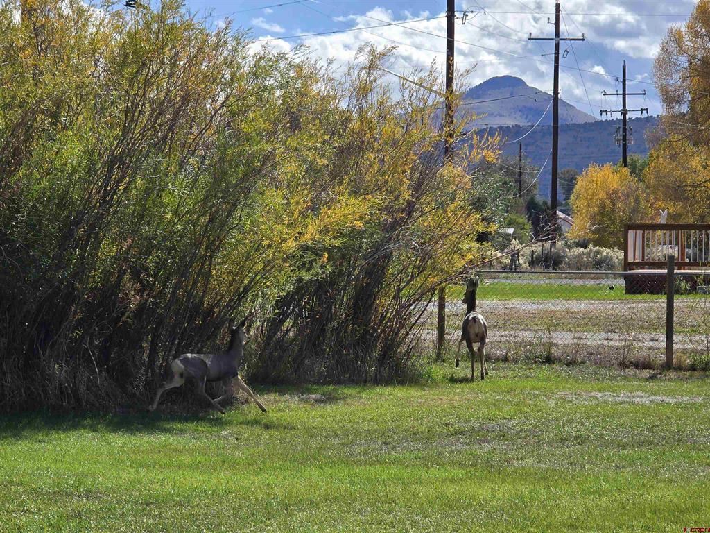 1035 2nd Street Del Norte CO 81132