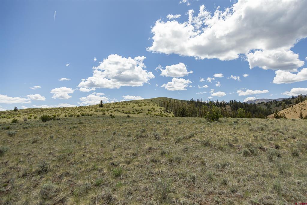 Tbd Hwy 149 (C) Highway Creede CO 81130