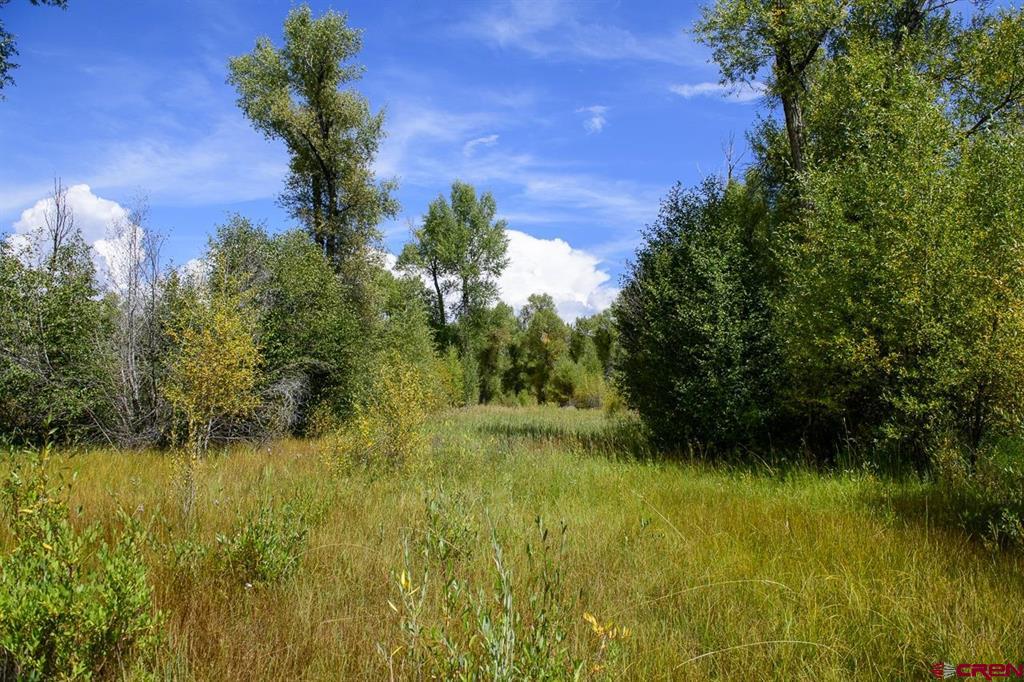 451 Kokanee Court Gunnison CO 81230