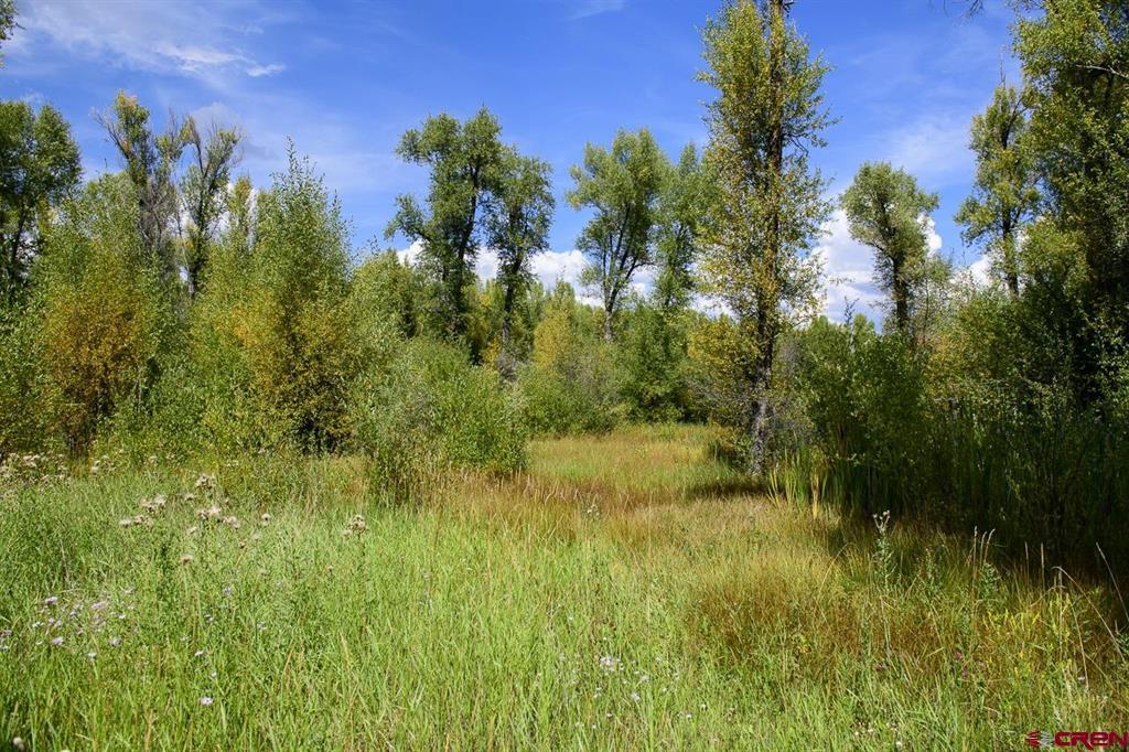 451 Kokanee Court Gunnison CO 81230