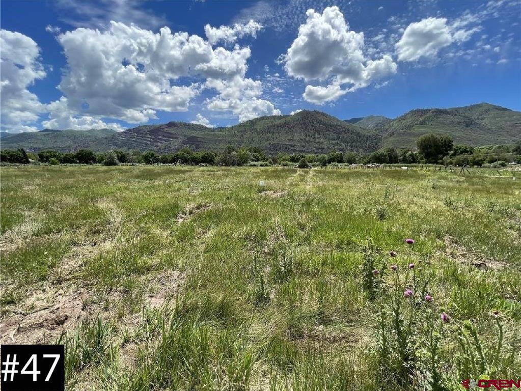 90 West Dalton Road Durango CO 81301