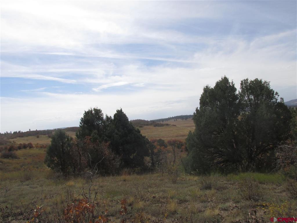 X Roush Drive Pagosa Springs CO 81147