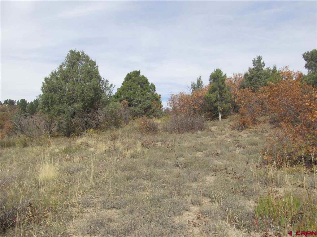 X Roush Drive Pagosa Springs CO 81147