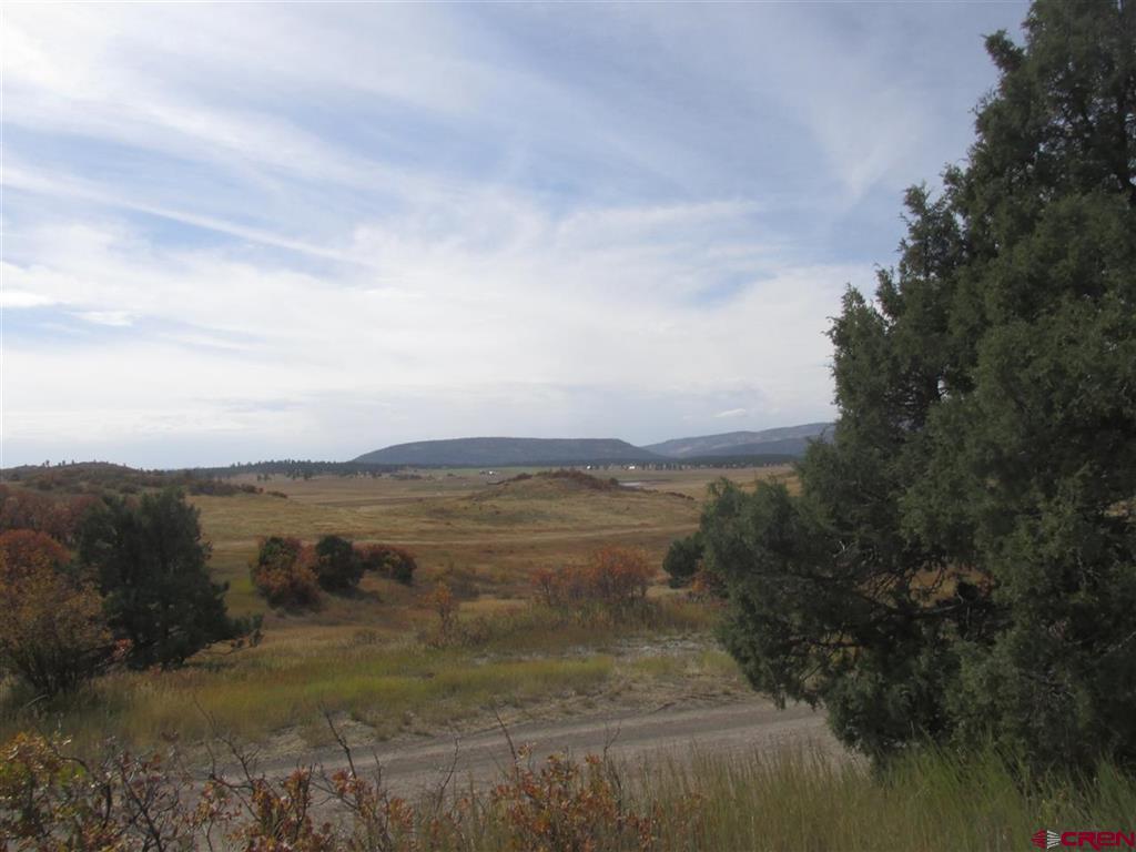 X Roush Drive Pagosa Springs CO 81147