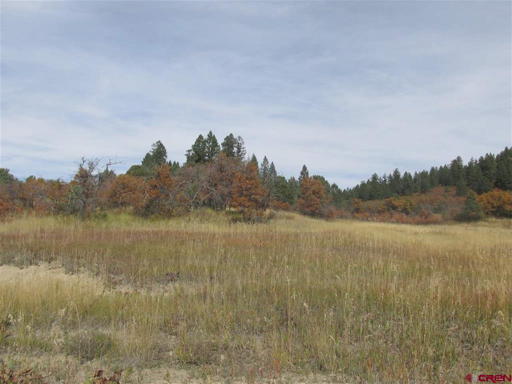 X Roush Drive Pagosa Springs CO 81147