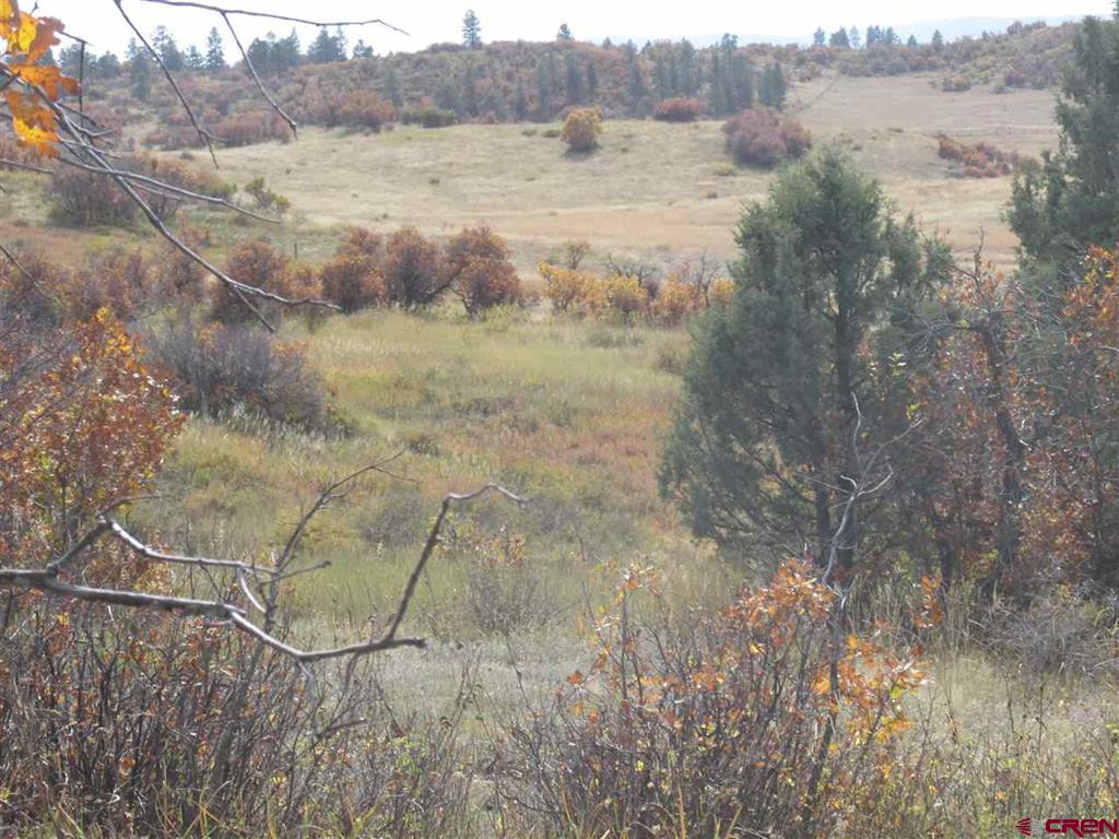 X Roush Drive Pagosa Springs CO 81147