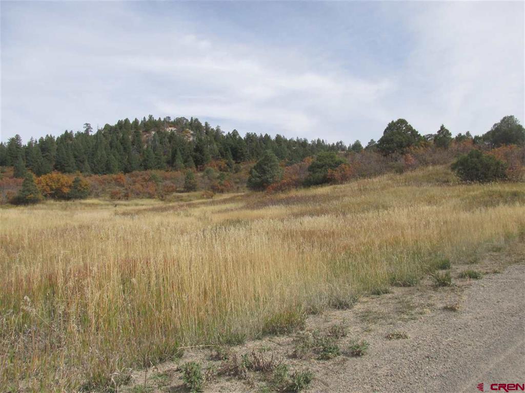 X Roush Drive Pagosa Springs CO 81147
