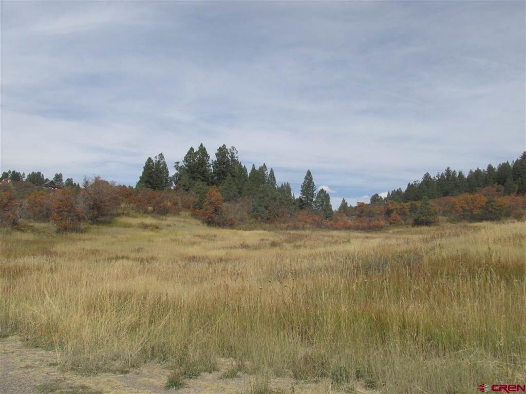 X Roush Drive Pagosa Springs CO 81147