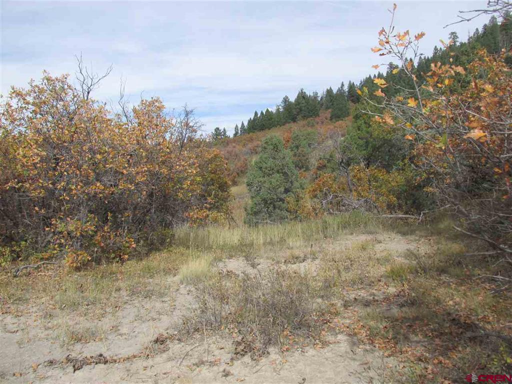 X Roush Drive Pagosa Springs CO 81147