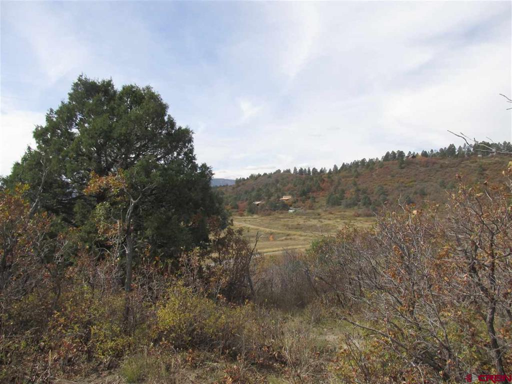 X Roush Drive Pagosa Springs CO 81147