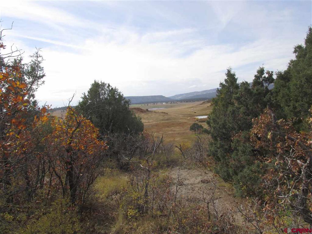 X Roush Drive Pagosa Springs CO 81147