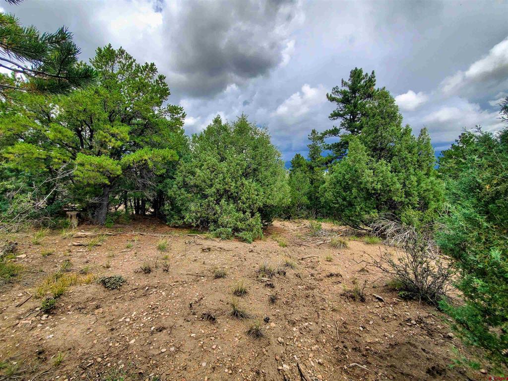 0253 Aspen Circle South Fork CO 81154