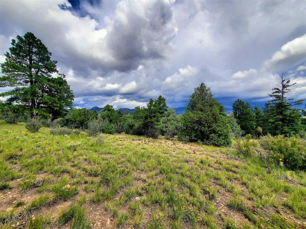 0253 Aspen Circle South Fork CO 81154