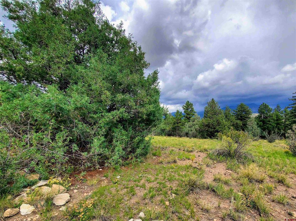 0253 Aspen Circle South Fork CO 81154