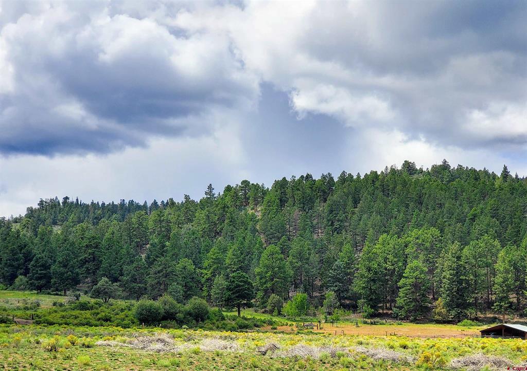 0253 Aspen Circle South Fork CO 81154