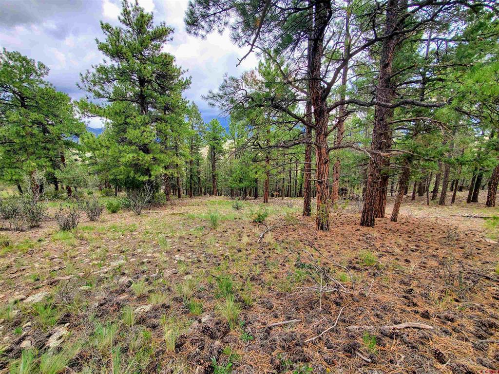 0253 Aspen Circle South Fork CO 81154