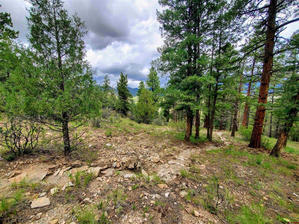 0253 Aspen Circle South Fork CO 81154