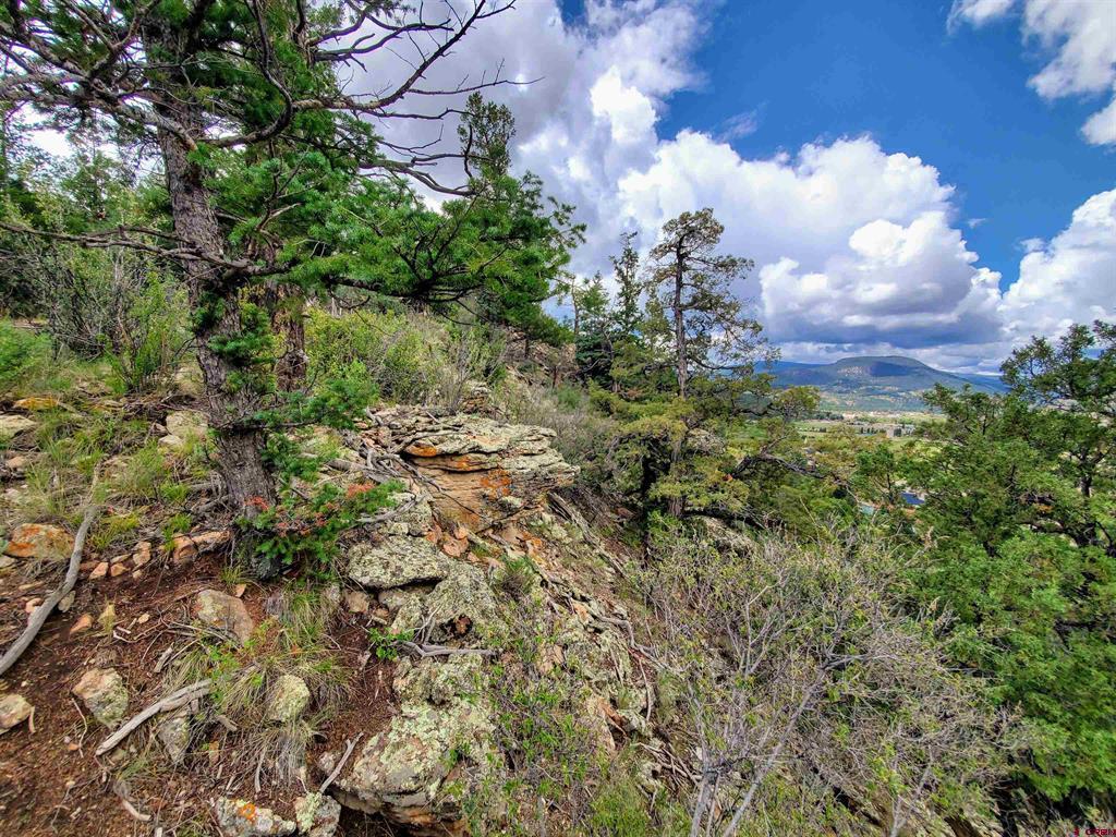 0253 Aspen Circle South Fork CO 81154