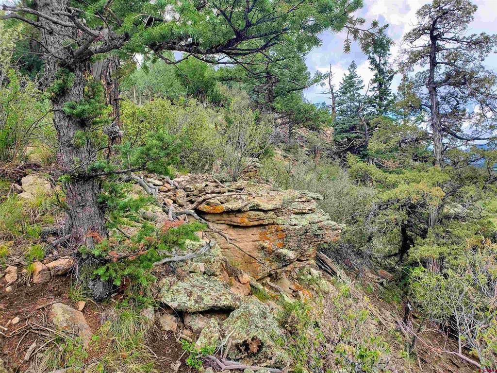 0253 Aspen Circle South Fork CO 81154