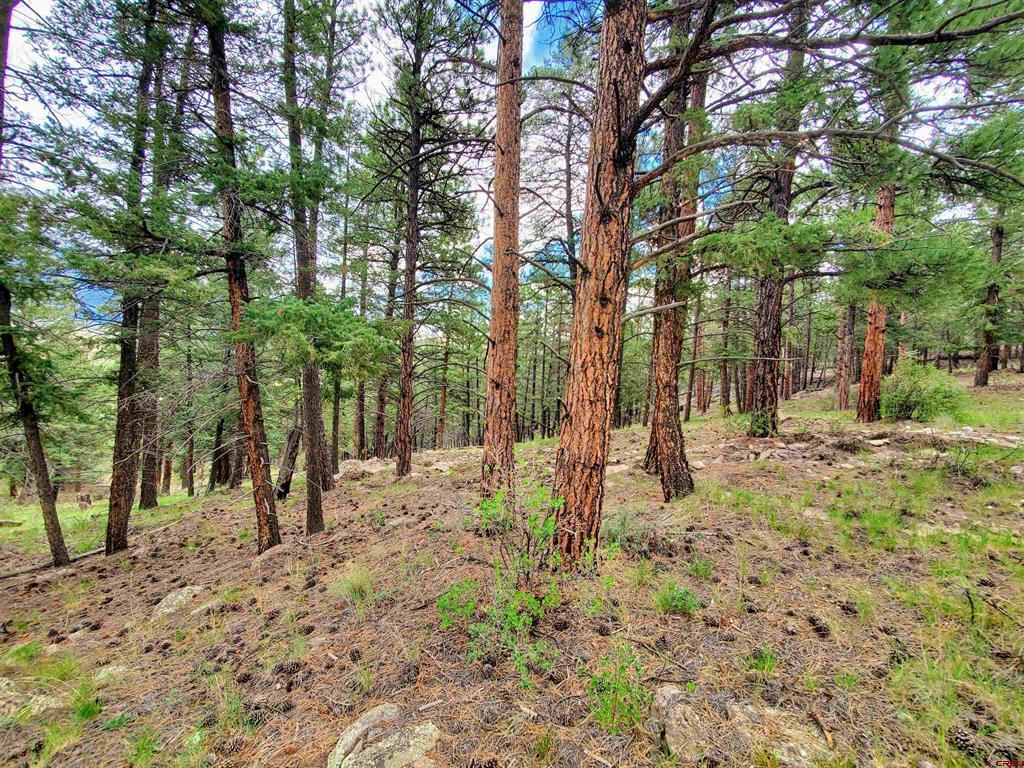 0253 Aspen Circle South Fork CO 81154