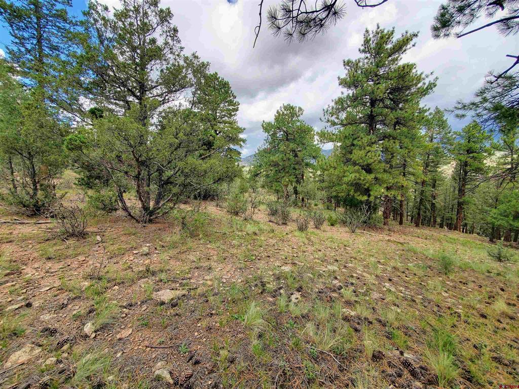 0253 Aspen Circle South Fork CO 81154