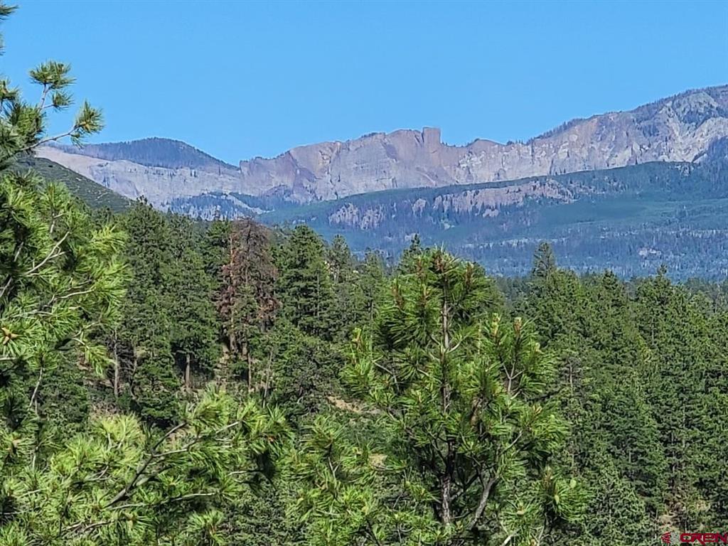X Catchpole Drive Pagosa Springs CO 81147