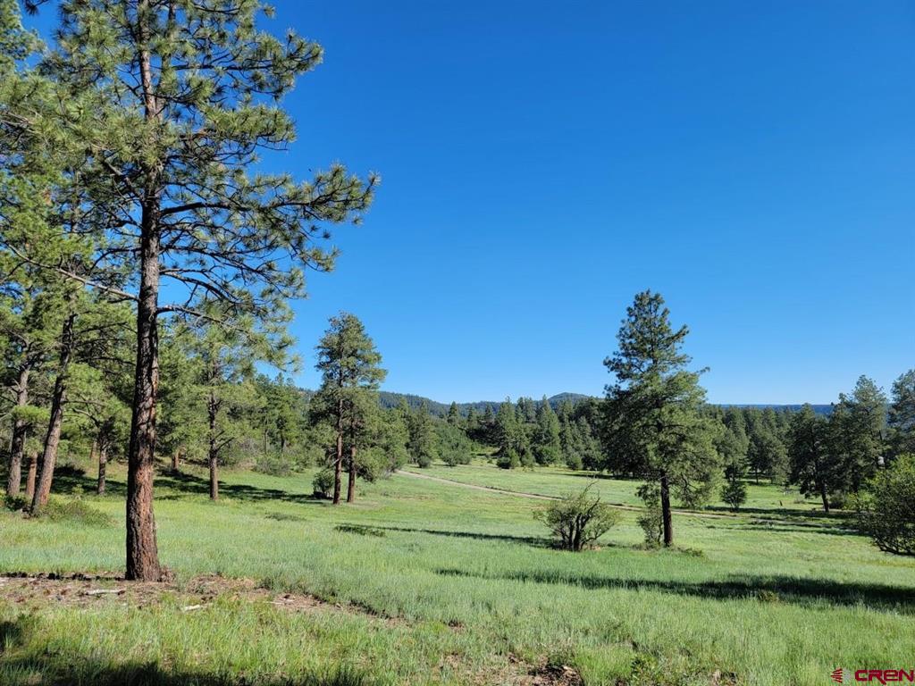 X Catchpole Drive Pagosa Springs CO 81147