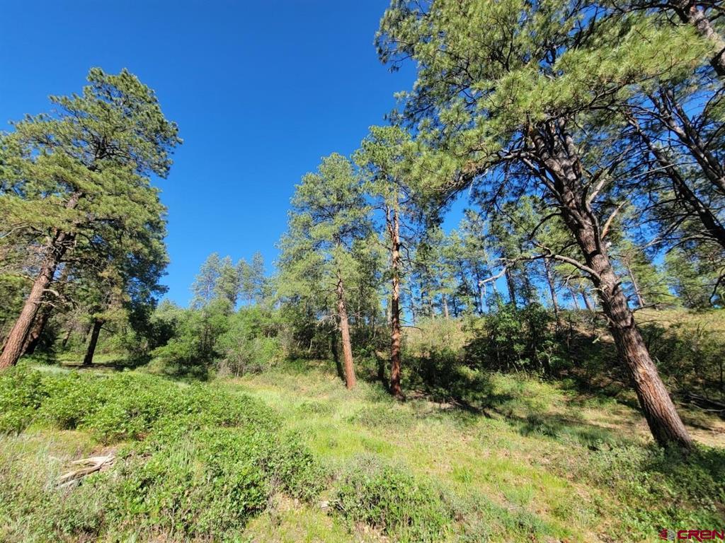 X Catchpole Drive Pagosa Springs CO 81147